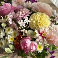 シルバープリペット,シルバープリペット,センニチコウ,センニチコウ,バラの画像