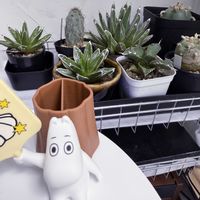 アガベ　笹の雪,カクタスの画像