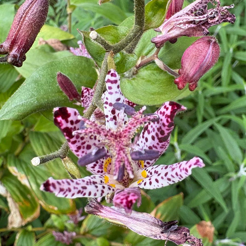 つくるんこさんの港の見える丘公園への投稿