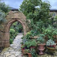 パープルファウンテングラス,ミューレンベルギア カピラリス,多肉寄せ植え,ガーデニング,ナチュラルガーデンの画像