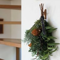 グレビレア,ブルーアイス,ブルーバード,ヒムロスギ,ドライアンドラの画像