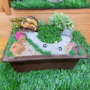 多肉植物,多肉植物寄せ植え,多肉大好き,多肉箱庭,トトロの画像