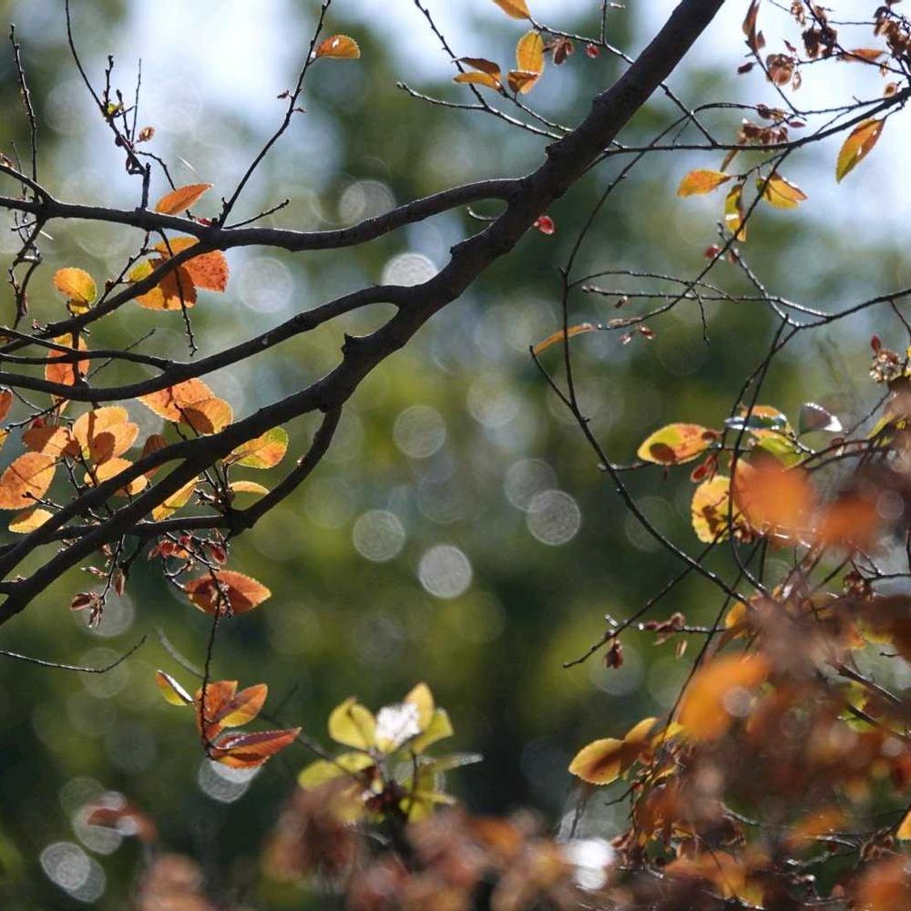 serendipityrumiさんの金沢区への投稿