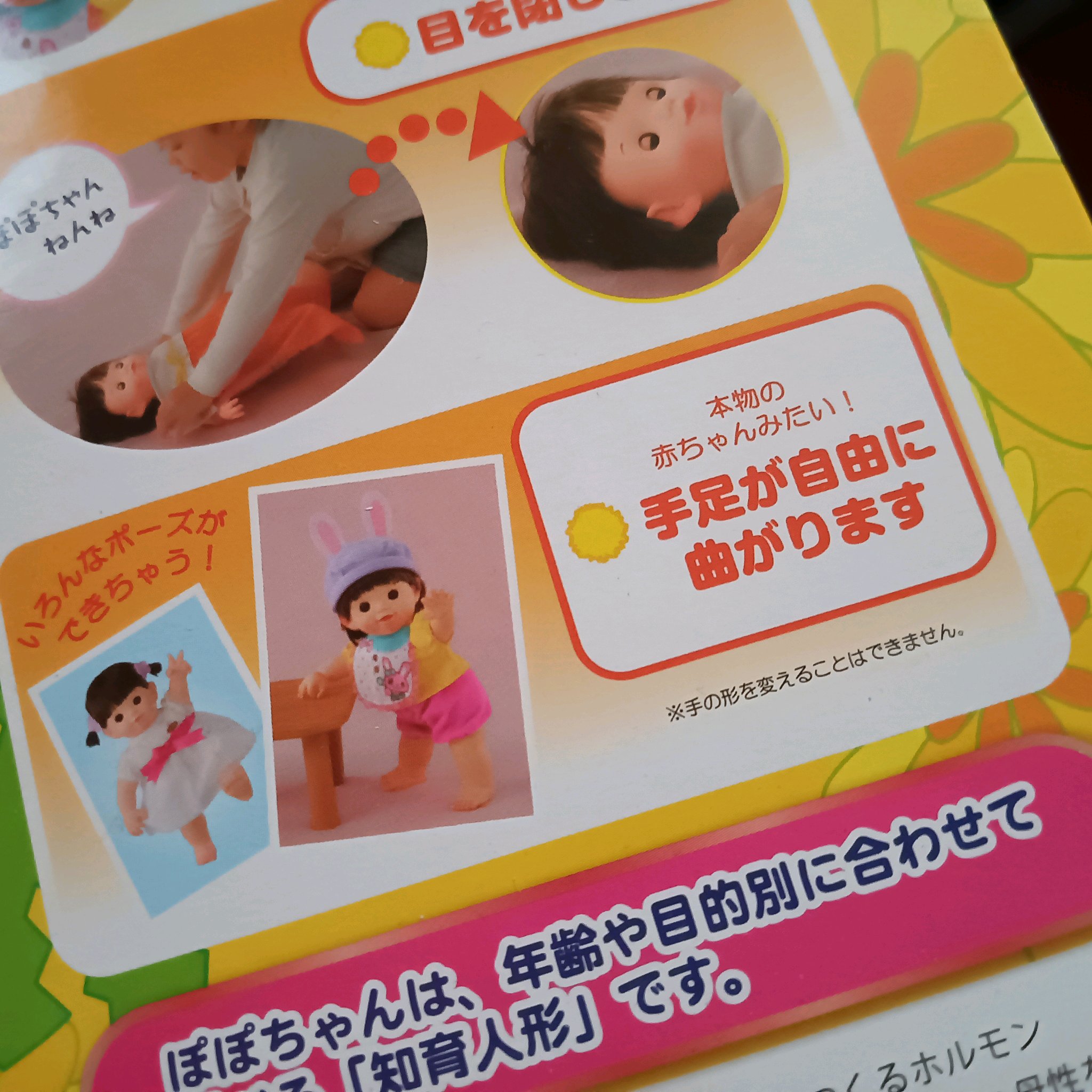 ポポ秘宝館｜🍀GreenSnap（グリーンスナップ）