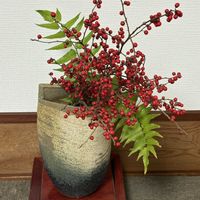 ウメモドキ,シダ,カナメモチ,ウメモドキ(実),フクロウの画像