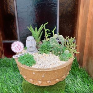 多肉植物,多肉植物寄せ植え,多肉大好き,多肉箱庭,多肉植物のある暮らしの画像