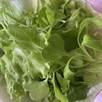 ベビーリーフ,小松菜の画像