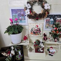 チェッカーベリー,手作り雑貨,繋がりに感謝✨,輝かしい未来,いつも心に太陽をの画像