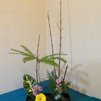 ガーベラ,ブルースター,クロトン,スイトピー,サンゴミズキの画像