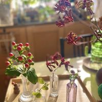 ヒペリカム,マム,マム,カンガルーポー,花のある暮らしの画像