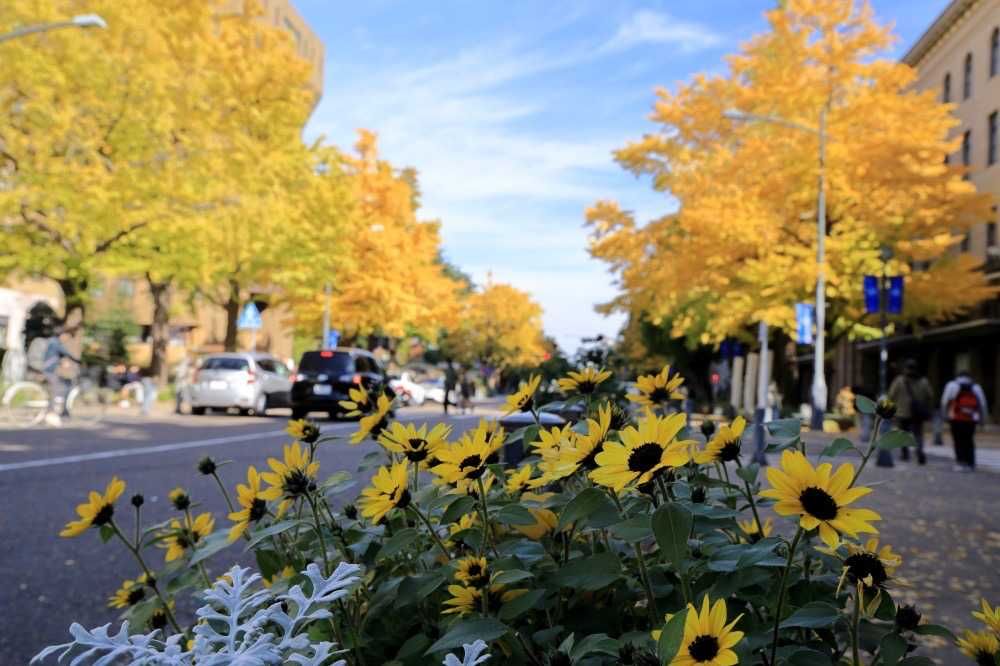 maroさんの山下公園への投稿