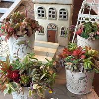 キク,セダム,バラ,マリーゴールド,ルビーネックレスの画像