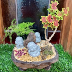 多肉植物,多肉植物寄せ植え,多肉大好き,多肉箱庭,多肉植物のある暮らしの画像