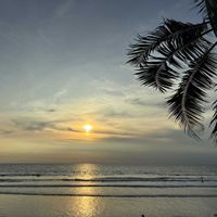 ヤシの木,バリ島✨,24日は夕焼けの日の画像