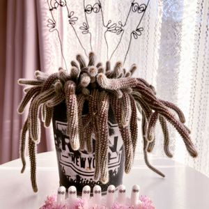 ドライフラワー,可愛い〜♡,おきにいり,多肉植物のある暮らし,キュンキュン乙女倶楽部の画像