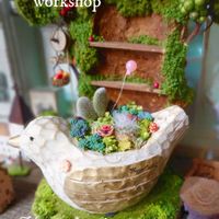 セダム寄せ,サボテン寄せ植え,ワークショップ作品,ワークショップ ,ミニチュアガーデンの画像
