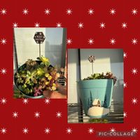 秀麗,夕映え, ブロンズ姫, ブロンズ姫,星の王子様の画像