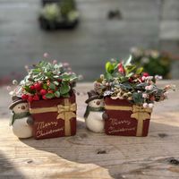 チェッカーベリー,ポリゴナム セレブピンク,寄せ植え,クリスマス,ガーデニングの画像