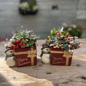 チェッカーベリー,ポリゴナム セレブピンク,寄せ植え,クリスマス,ガーデニングの画像