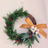 フェイジョア,シルバーブルニア,コットン,コットン,野ばらの実の画像