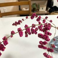 シンフォリカルポス,シンフォリカルポス,シンフォリカス,リビング・ダイニング,玄関内側の画像