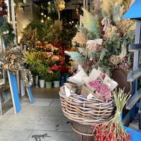 ポインセチア,観賞用トウガラシ,GSのみなさんに感謝♡,花屋の店先,綺麗✨の画像