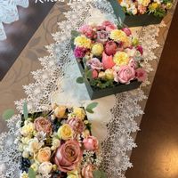 キク,キク,ジニア,マトリカリア,マトリカリアの画像