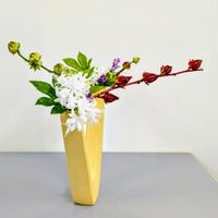 ネリネ,リンドウ,ローゼル,キイチゴ,ベビーハンズの画像