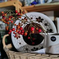 ノイバラ,ミニバラ,ビオラ,ローズヒップ,ミニバラ・モカの画像