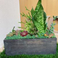 多肉植物,多肉植物寄せ植え,多肉大好き,多肉箱庭,恐竜の画像