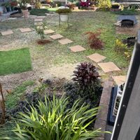 アジュガ,セダム,タイム,リシマキア,りゅうのひげの画像