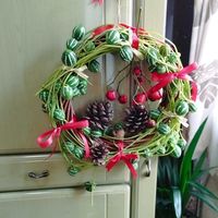 オキナワスズメウリ,観賞用トウガラシ,いいね❤ありがとう,小さな庭の画像