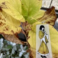 ヒマラヤユキノシタ,アナベル,カキ,お散歩ちゃんキーホルダー,お散歩は季節をまとっての画像