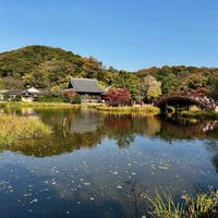 紅葉,イチョウ,秋の風景,被災地にエールを…。,金沢文庫 称名寺の画像