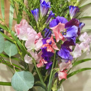 スイートピー,リンドウ,花瓶,お花の定期便,玄関内側の画像