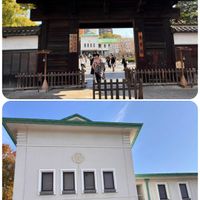 サルスベリ,紅葉,空を見上げて,GSのみなさんに感謝❤,上を向いて咲こうの画像