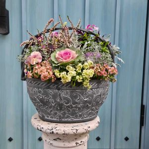 寄せ植え,ギャザリング,カルナックの画像