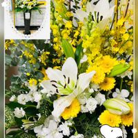 オンシジウム,ユーカリ,コラージュ,駅構内のお花シリーズ,金曜日の蕾たちの画像
