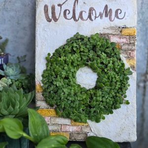 多肉,ブロウメアナ,多肉寄せ植え,ちまちまの画像