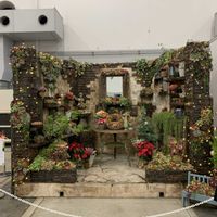 アリッサム,カレックス,ネメシア,ワイヤープランツ,ガーデンシクラメンの画像