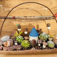 サボテン,多肉寄せ植え,サボテンの寄せ植え,もりもり多肉,多肉ガーデンの画像