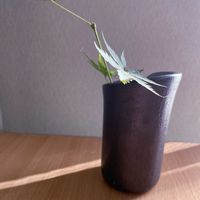 モミジ,一輪挿し,信楽焼,iPhone撮影,asingleflowervaseの画像
