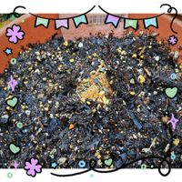 アスパラガス,GSに感謝。,小さな庭❀,わんこと暮らす,初冬の頃の画像