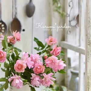 DIY,花のある暮らし,秋バラ,秋の風景,ナチュラルスタイルの画像