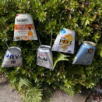 ちまちま寄せ植え,ビール缶リメイクの画像