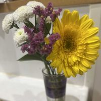 ガーベラ,スターチス,スプレーマムの画像