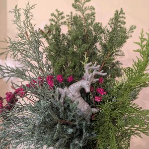 クリスマス,針葉樹,クリスマスツリー,クリスマスアレンジ,こまりねこ 飾りの画像
