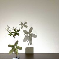 一輪挿し,花瓶,花器,山野草,野草の画像