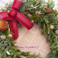 ブルーアイス,ブルーバード,バンクシア,ヒムロスギ, クリスマスリースの画像