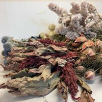 スターチス,ルリタマアザミ,テッセン,サルトリイバラ,カイザイク（貝細工）の画像